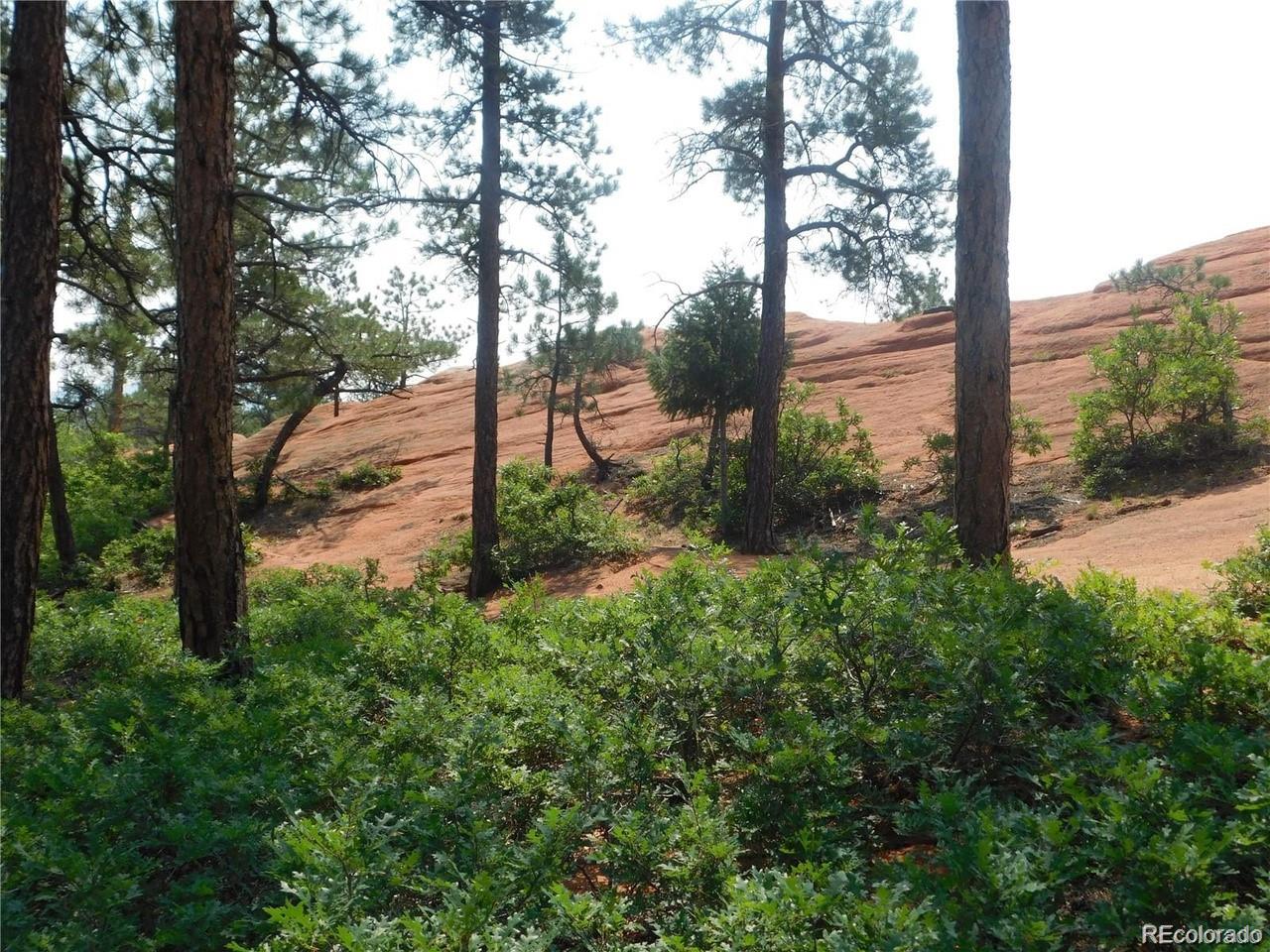 4356 Elati Road Larkspur, CO 80118 - Photo 4 of 10