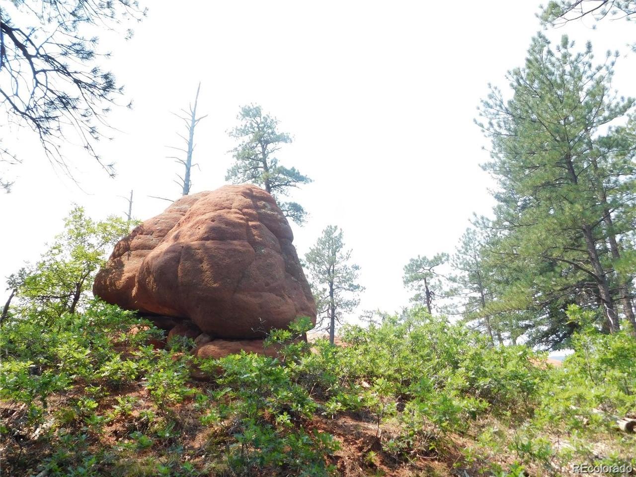 4356 Elati Road Larkspur, CO 80118 - Photo 5 of 10