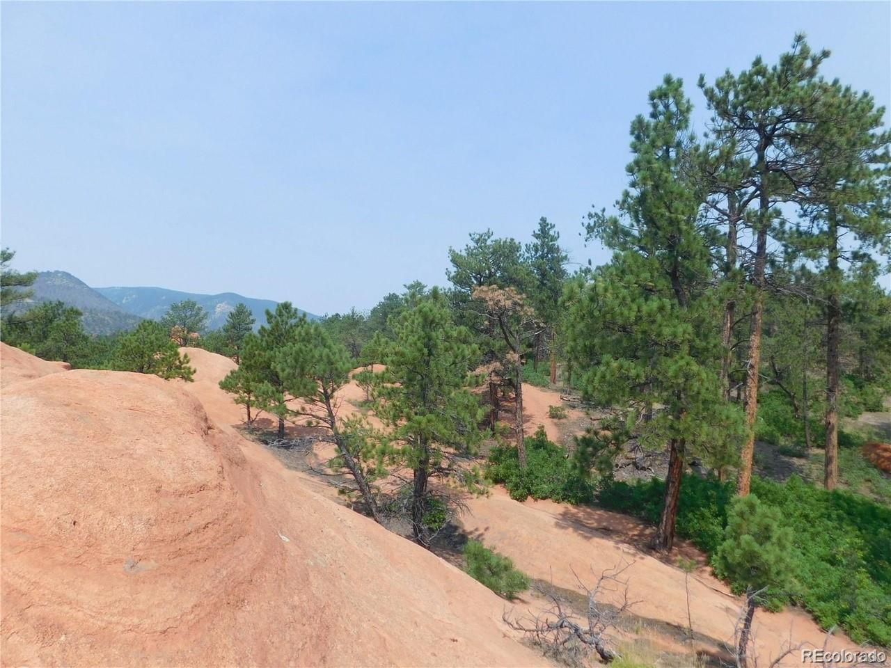 4356 Elati Road Larkspur, CO 80118 - Photo 6 of 10