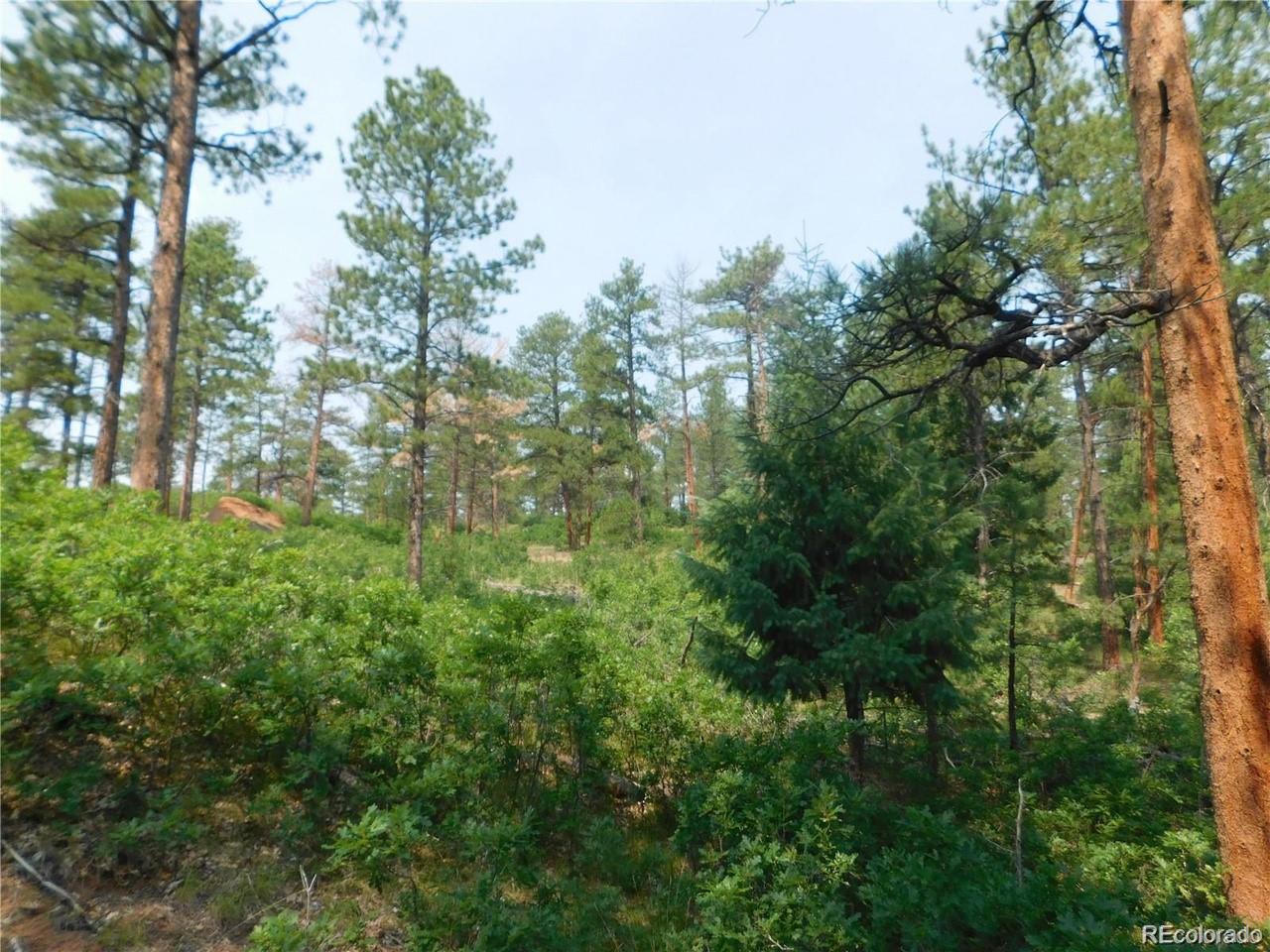 4356 Elati Road Larkspur, CO 80118 - Photo 7 of 10