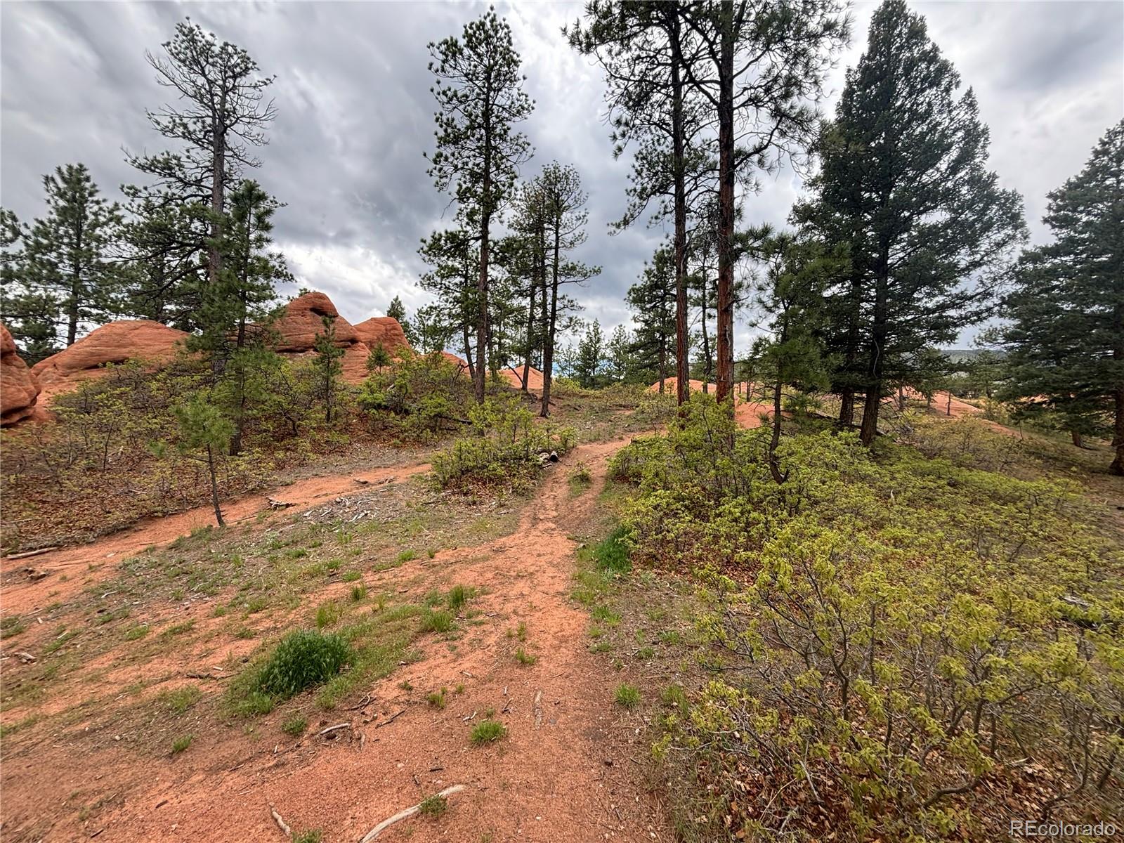 4356 Elati Road Larkspur, CO 80118 - Photo 9 of 10
