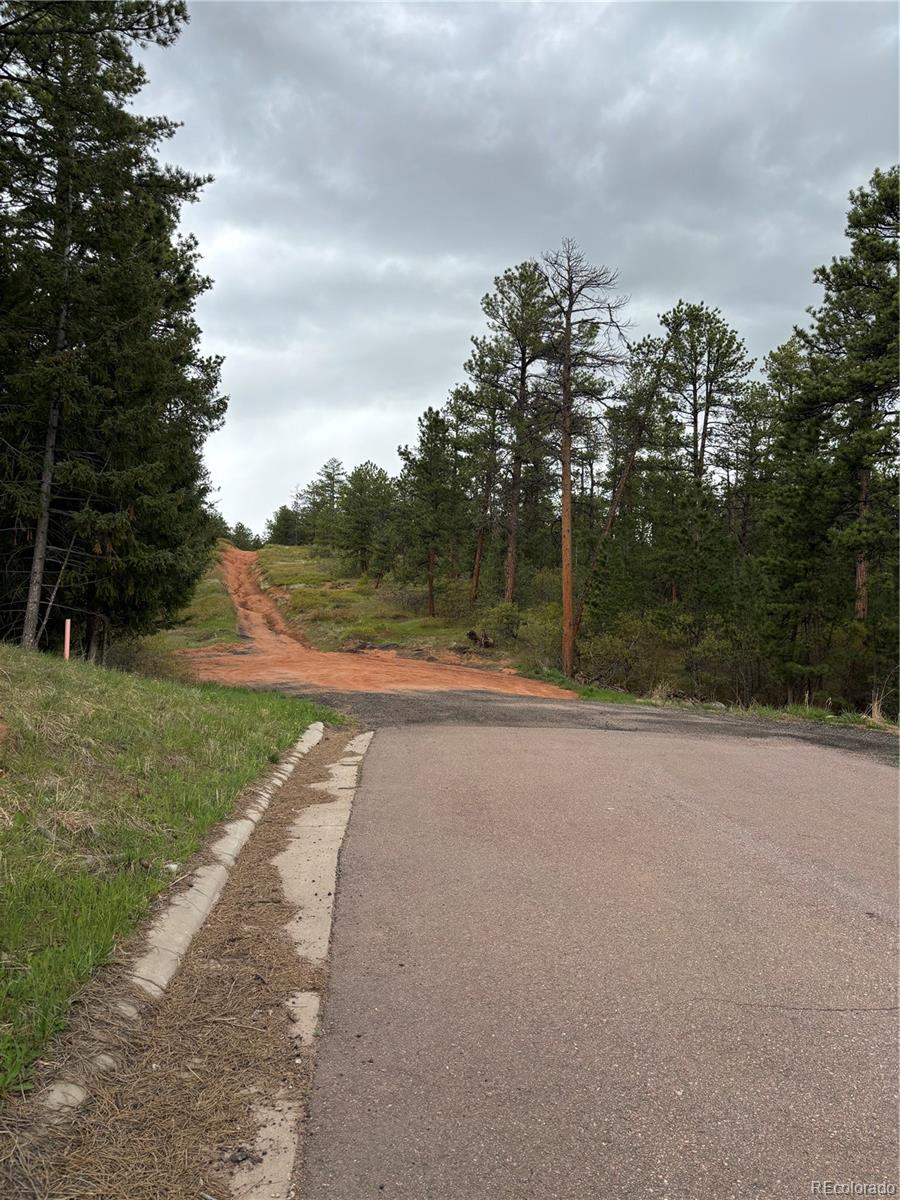 4356 Elati Road Larkspur, CO 80118 - Photo 10 of 10