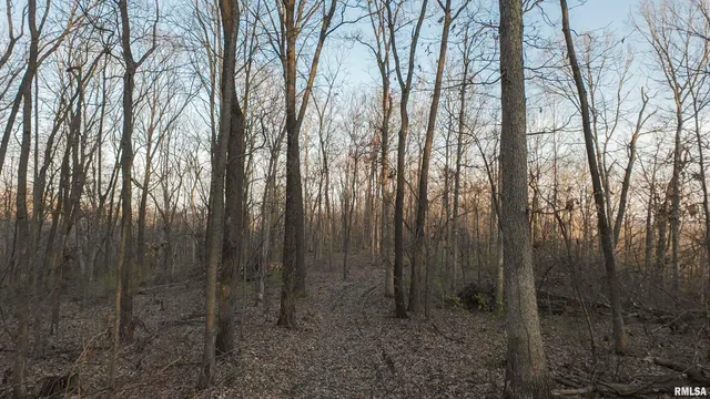 $359,900 | 0 North Hardscrabble Road, Sparland, IL 61565