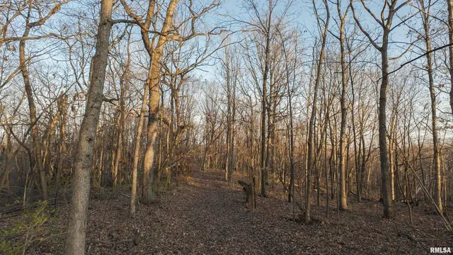 $359,900 | 0 North Hardscrabble Road, Sparland, IL 61565