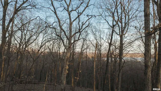 $359,900 | 0 North Hardscrabble Road, Sparland, IL 61565