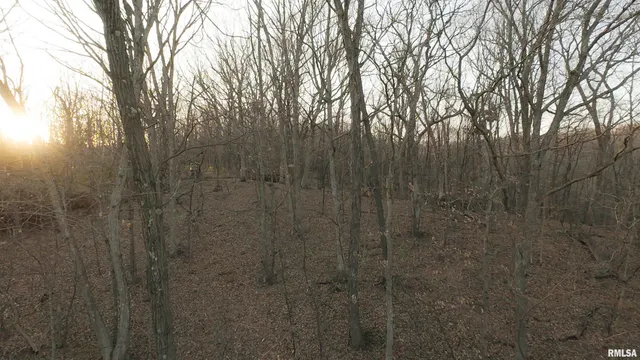 $359,900 | 0 North Hardscrabble Road, Sparland, IL 61565