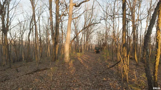 $359,900 | 0 North Hardscrabble Road, Sparland, IL 61565