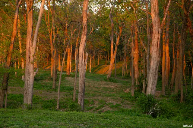 $359,900 | 0 North Hardscrabble Road, Sparland, IL 61565