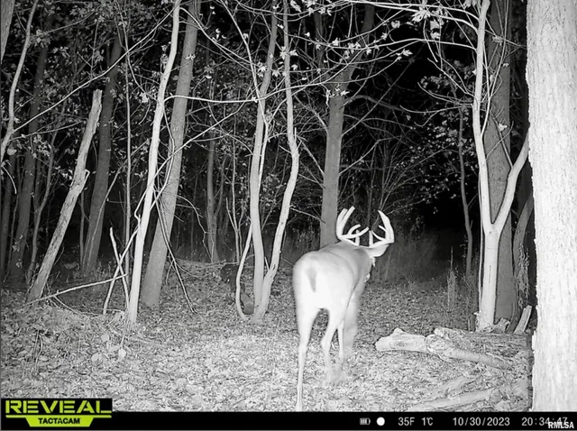 $359,900 | 0 North Hardscrabble Road, Sparland, IL 61565