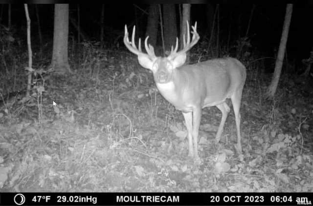 $359,900 | 0 North Hardscrabble Road, Sparland, IL 61565