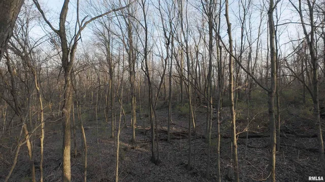 $359,900 | 0 North Hardscrabble Road, Sparland, IL 61565