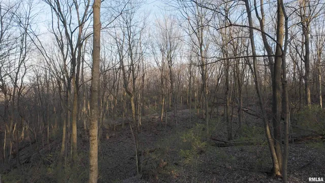 $359,900 | 0 North Hardscrabble Road, Sparland, IL 61565