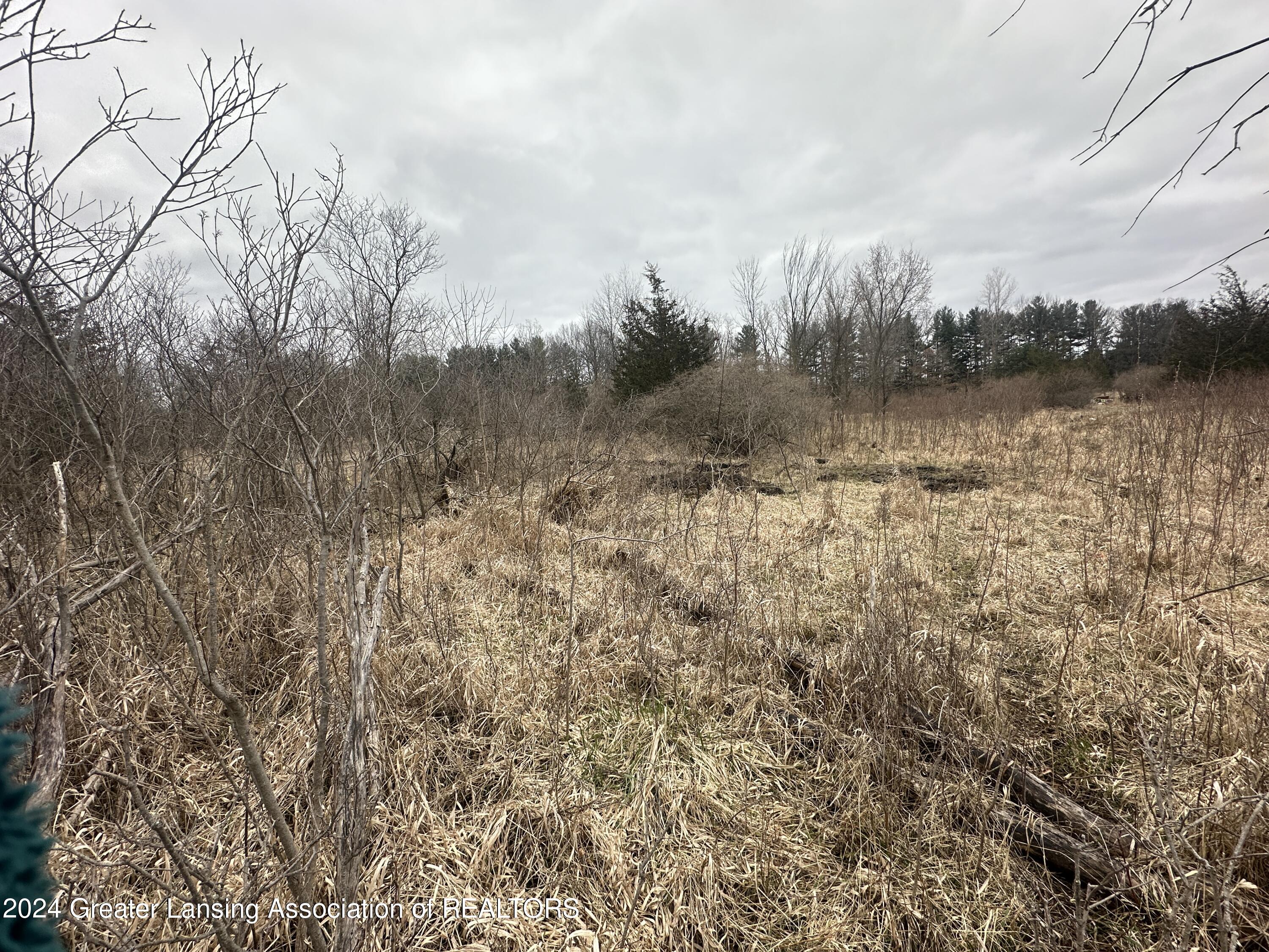 0 Howe Dewitt, MI 48820 - Photo 5 of 17 20240327_190809156_iOS