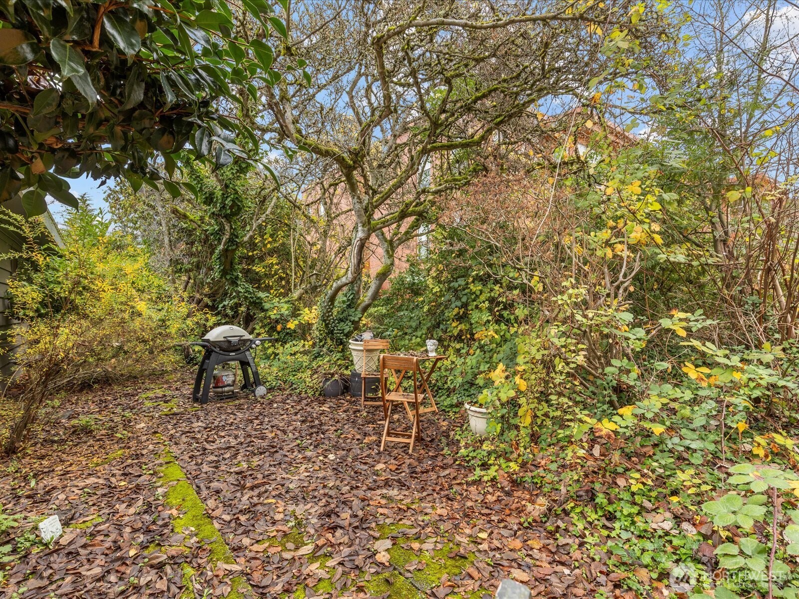 7138 47th Avenue Southwest Seattle, WA 98136 - Photo 17 of 20 a bench sitting in middle of a forest
