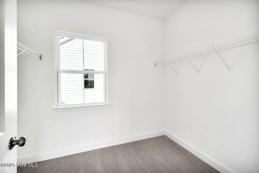 5209 Moonshell Loop Wilmington, NC 28412 - Photo 24 of 37 Walk-In closet in guest bedroom