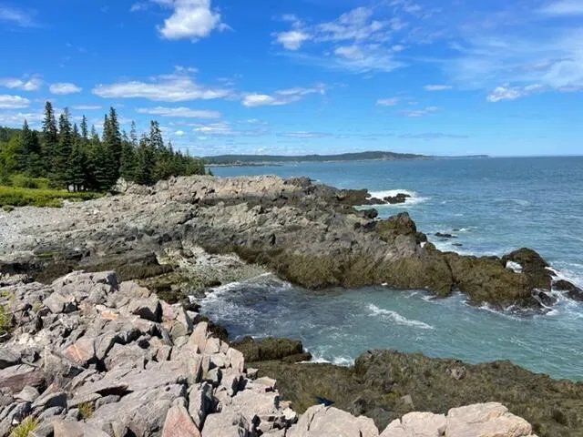 $1,100,000 | Lot 87.72 Shag Rock Road, Lubec, ME 04652