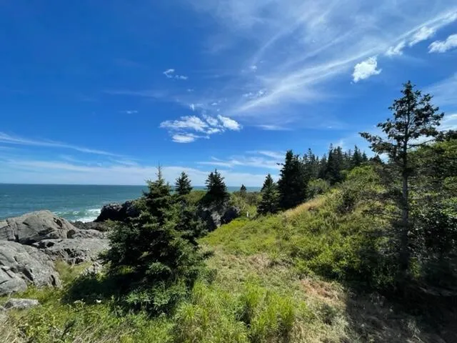 $1,100,000 | Lot 87.72 Shag Rock Road, Lubec, ME 04652