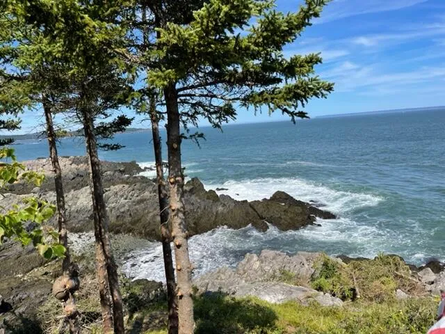 $1,100,000 | Lot 87.72 Shag Rock Road, Lubec, ME 04652