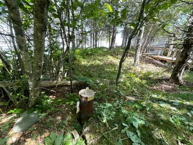 $1,100,000 | Lot 87.72 Shag Rock Road, Lubec, ME 04652