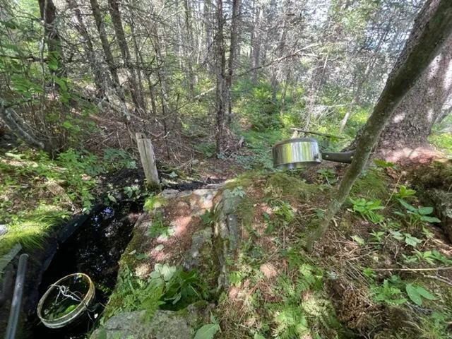 $1,100,000 | Lot 87.72 Shag Rock Road, Lubec, ME 04652