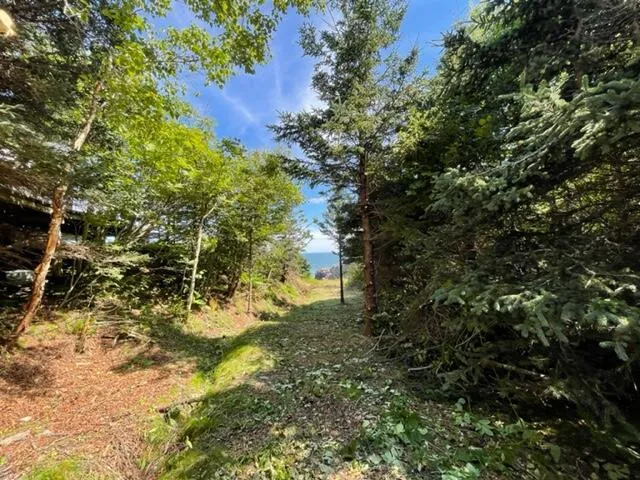 $1,100,000 | Lot 87.72 Shag Rock Road, Lubec, ME 04652