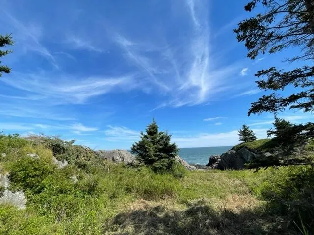 $1,100,000 | Lot 87.72 Shag Rock Road, Lubec, ME 04652