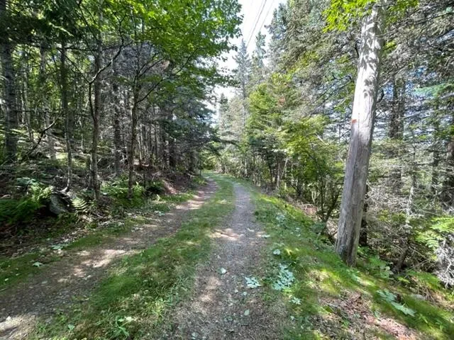 $1,100,000 | Lot 87.72 Shag Rock Road, Lubec, ME 04652
