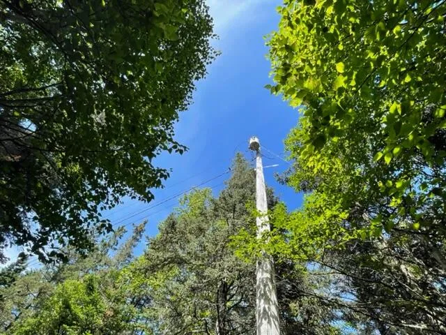 $1,100,000 | Lot 87.72 Shag Rock Road, Lubec, ME 04652