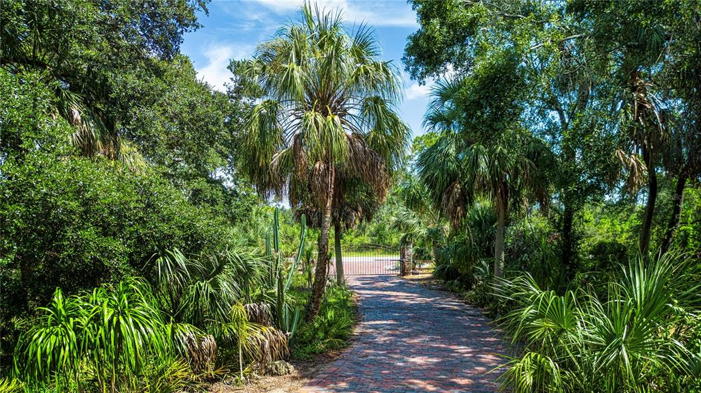 1422 Lightfoot Road Wimauma, FL 33598 - Photo 4 of 98