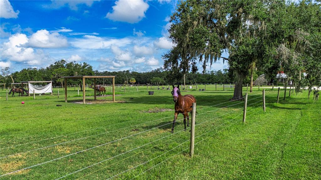 1422 Lightfoot Road Wimauma, FL 33598 - Photo 88 of 98