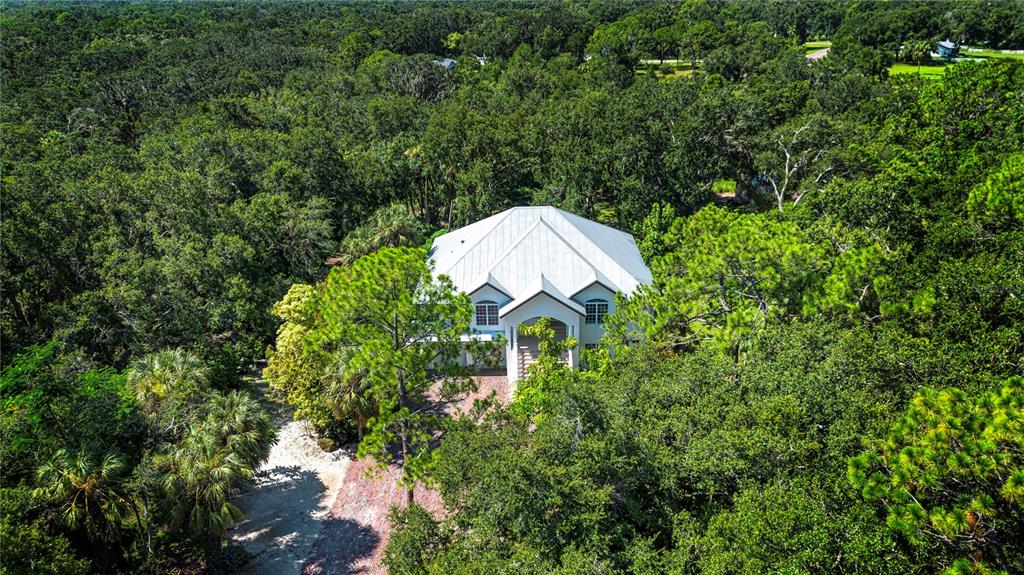 1422 Lightfoot Road Wimauma, FL 33598 - Photo 10 of 98 a backyard of a house with a lots of plants and large trees