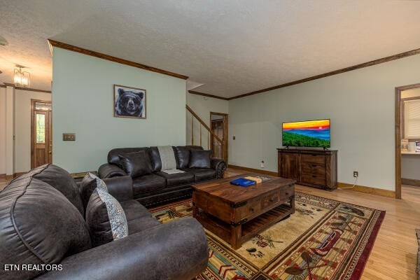 296 Lane Hollow Road Sevierville, TN 37876 - Photo 6 of 23 Gallery Image 6