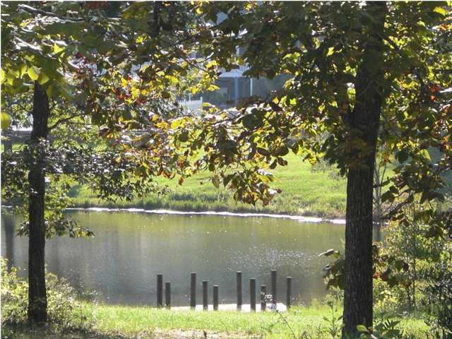 5686 Old Bethel Road Crestview, FL 32536 - Photo 1 of 5 a view of lake from a lake