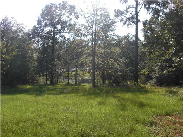 5686 Old Bethel Road Crestview, FL 32536 - Photo 3 of 5 a view of a park