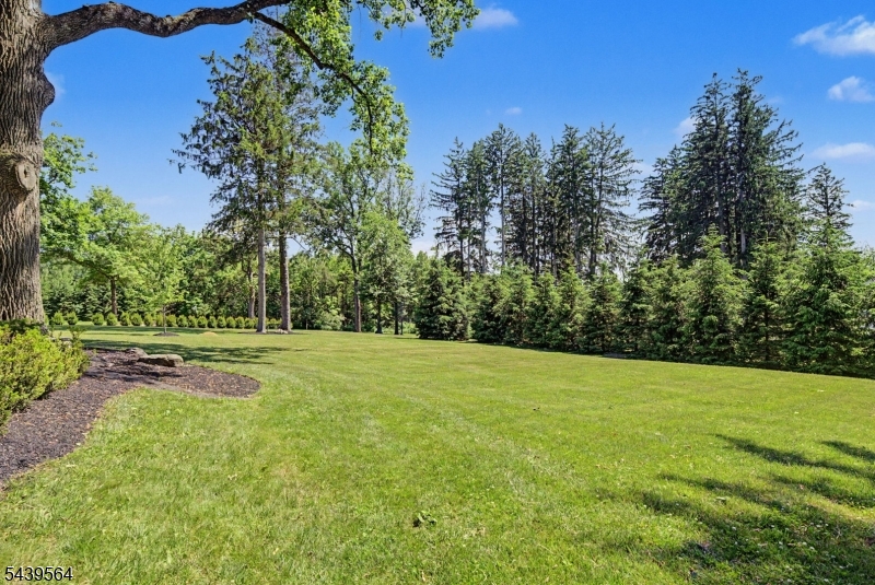 235 Old Chester Road Chester, NJ 07930 - Photo 42 of 49