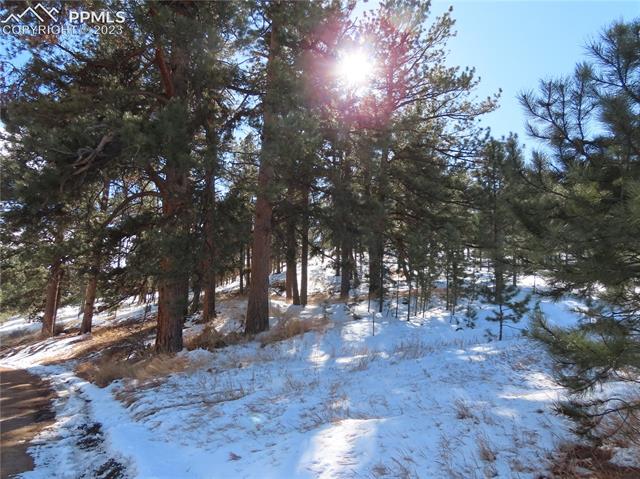203 Pine Road Florissant, CO 80816 - Photo 11 of 20