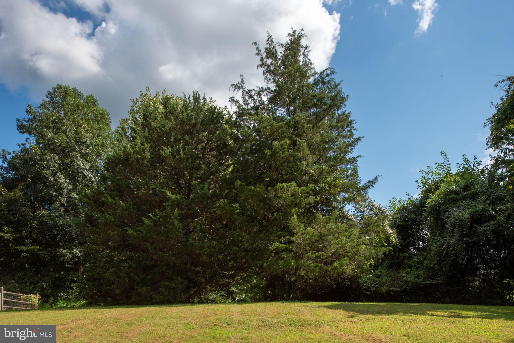7095 Signal Hill Road Manassas, VA 20111 - Photo 99 of 111 Gallery Image 99