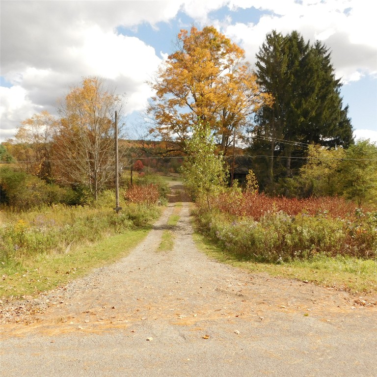 322 Sapbush Road Chenango Forks, NY 13746 - Photo 28 of 29 Gallery Image 28