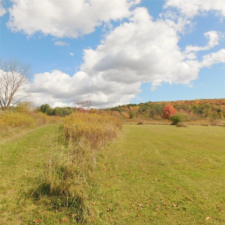 322 Sapbush Road Chenango Forks, NY 13746 - Photo 6 of 29 Gallery Image 6