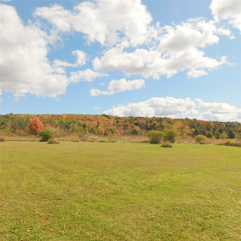 322 Sapbush Road Chenango Forks, NY 13746 - Photo 7 of 29 Gallery Image 7