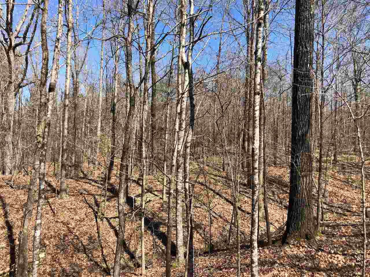 0 Dixon Road Duck Hill, MS 38925 - Photo 1 of 8 Photo 1