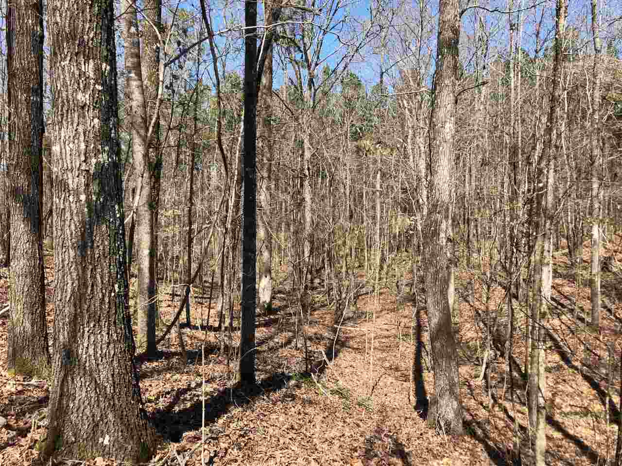 0 Dixon Road Duck Hill, MS 38925 - Photo 3 of 8 Photo 3