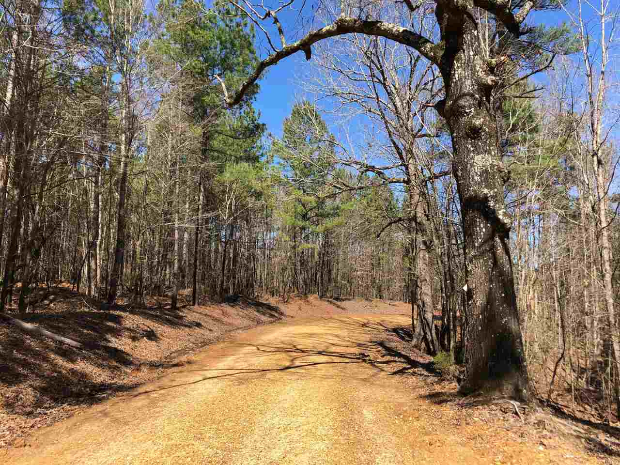 0 Dixon Road Duck Hill, MS 38925 - Photo 4 of 8 Photo 4