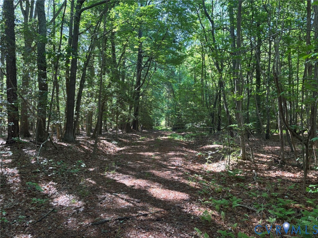 Vir-mar Vir-Mar Beach Road Heathsville, VA 22473 - Photo 8 of 10 Internal roadway bet. 2.9ac and 23.9ac