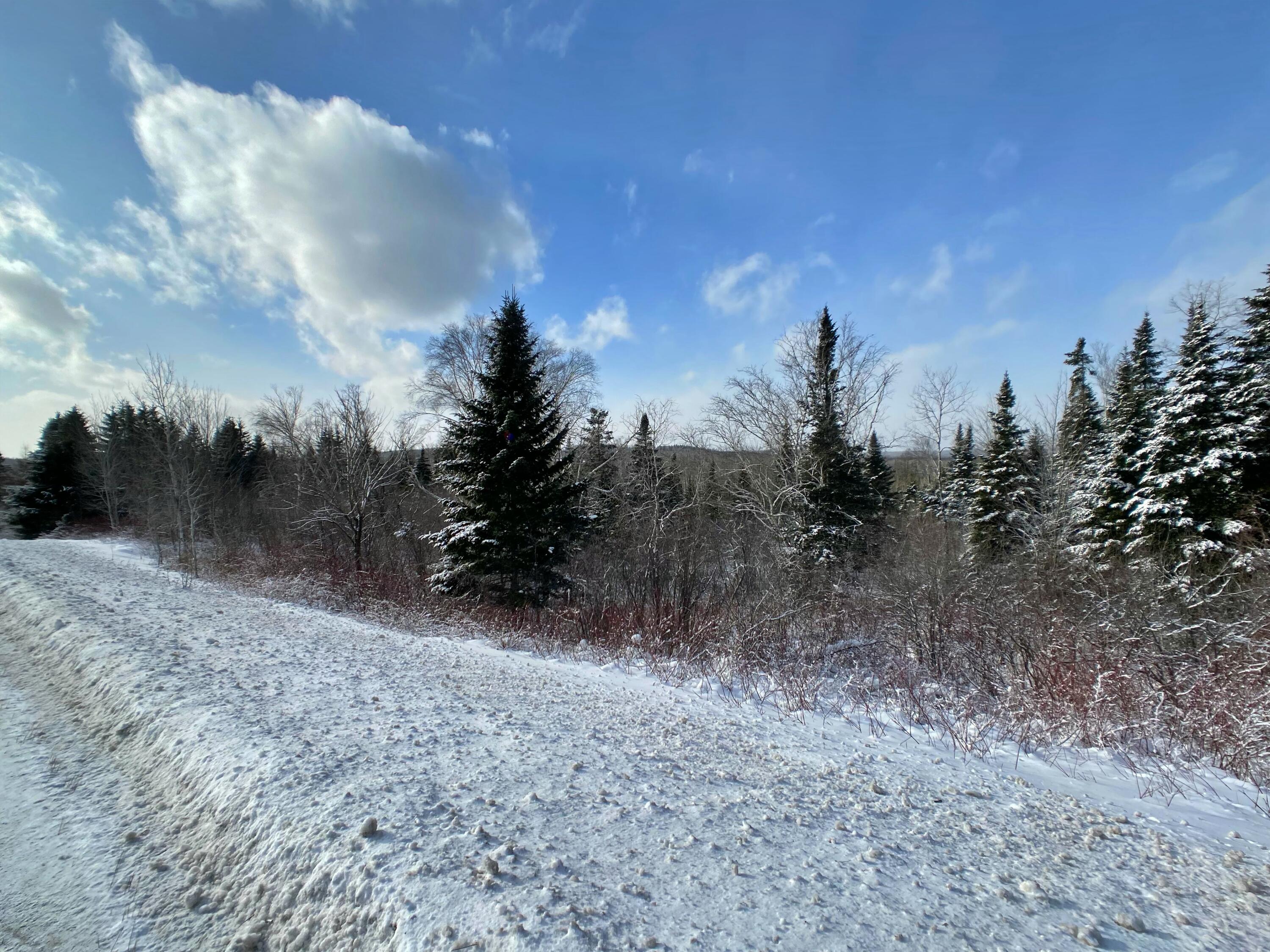 4-31 Caribou Road Presque Isle, ME 04769 - Photo 15 of 19