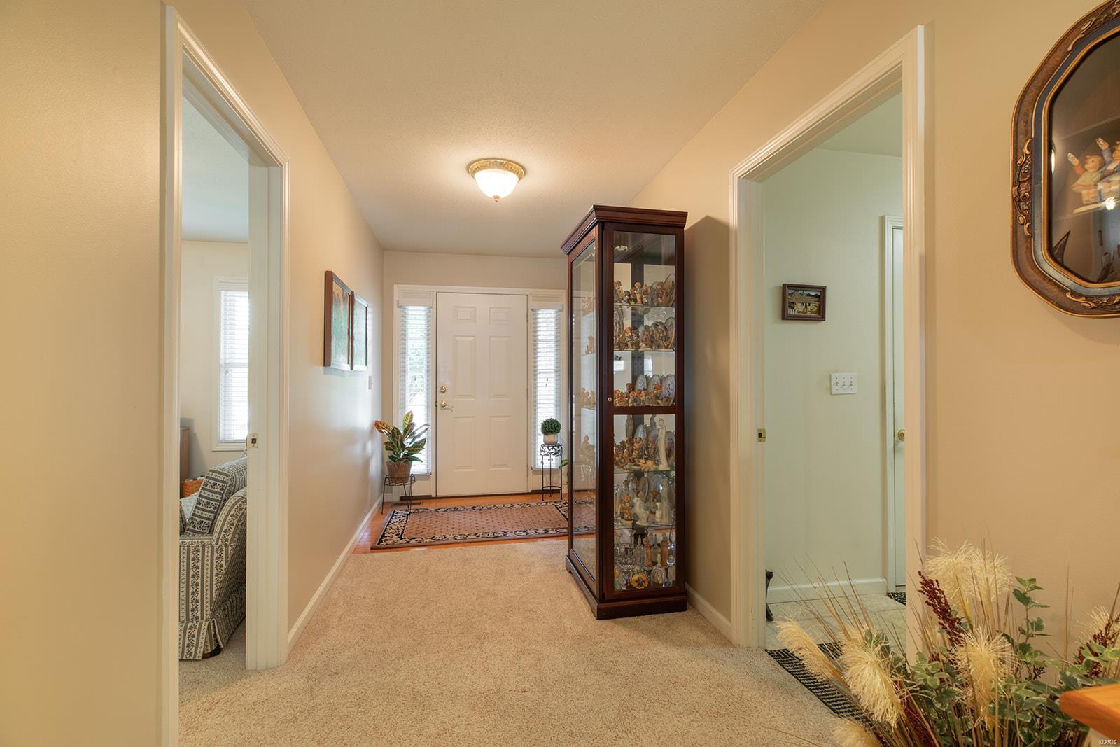 412 Celesta Street Godfrey, IL 62035 - Photo 8 of 45