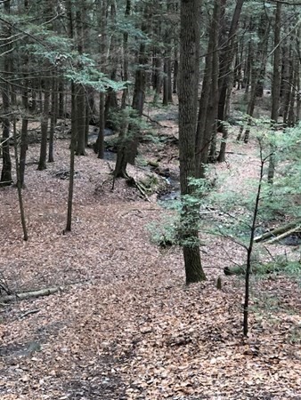 83 Stony Hill Road Amherst, MA 01002 - Photo 42 of 42 Gallery Image 42