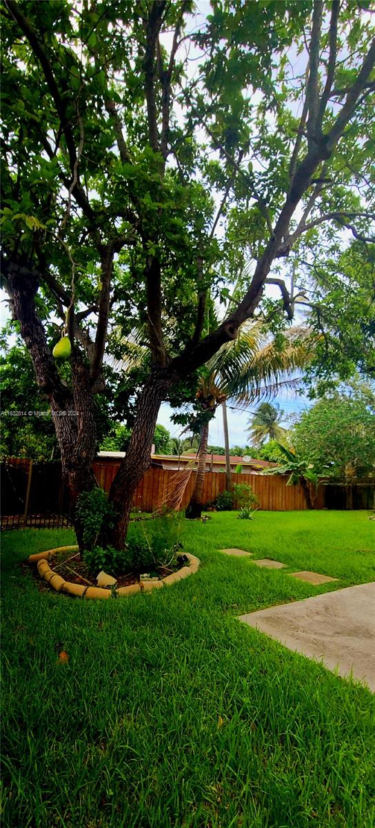 125 Northeast 193rd Street Miami, FL 33179 - Photo 18 of 20 a view of a backyard with large trees