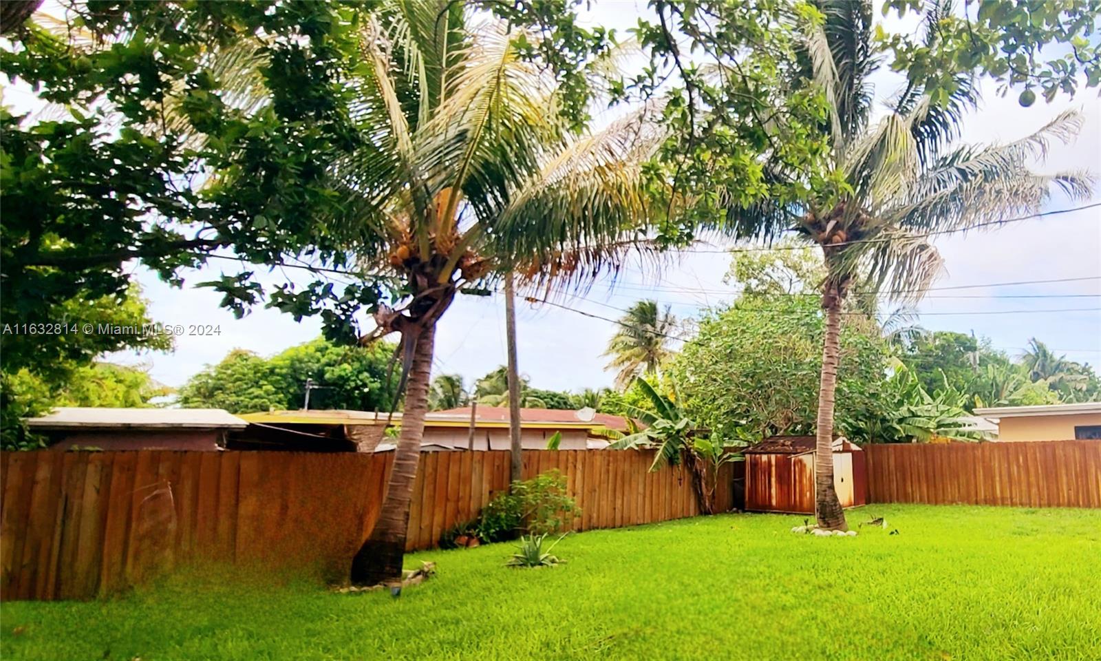 125 Northeast 193rd Street Miami, FL 33179 - Photo 4 of 20 a view of a backyard with a large tree