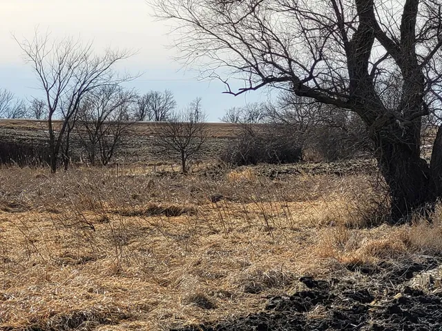 $209,000 | 7 County Road 7 Northwest, Maple Lake, MN 55358